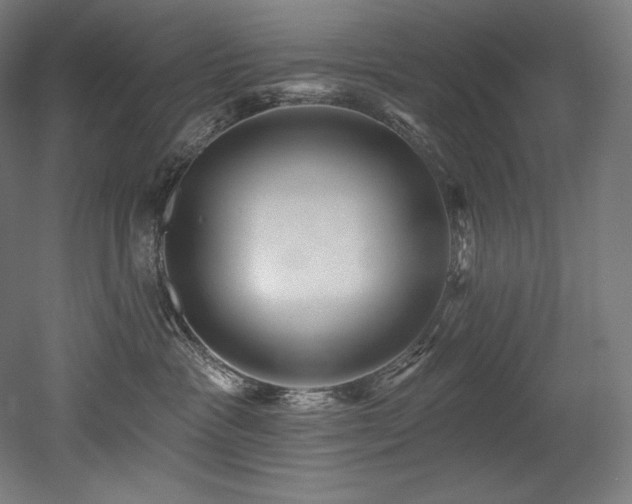 X0000053020333200507081332