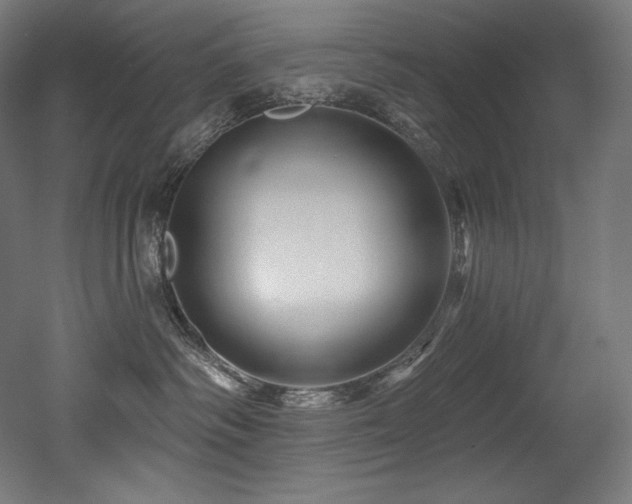X0000053020334200507081332