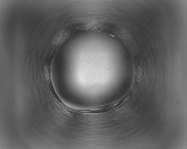 X0000053020335200507081332