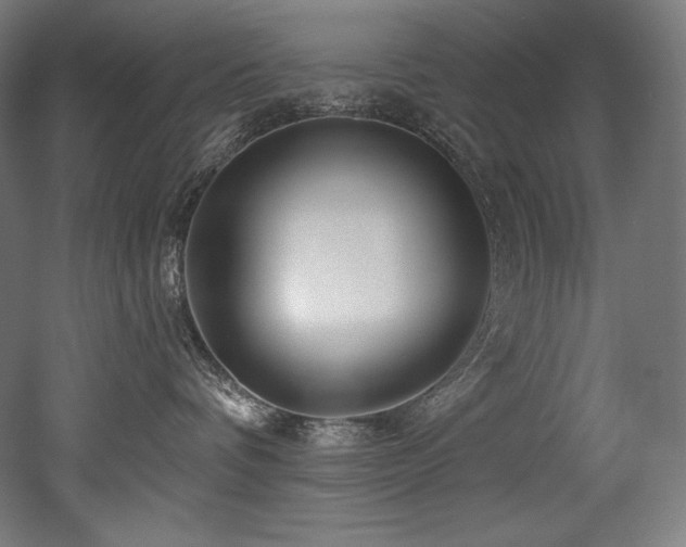 X0000053020336200507081332