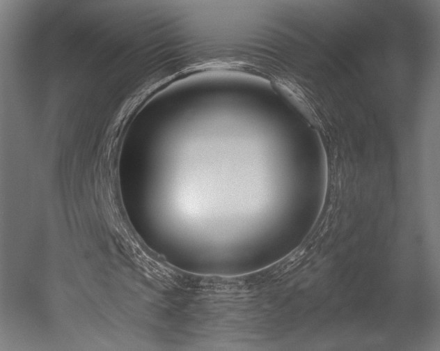 X0000053020337200507081331