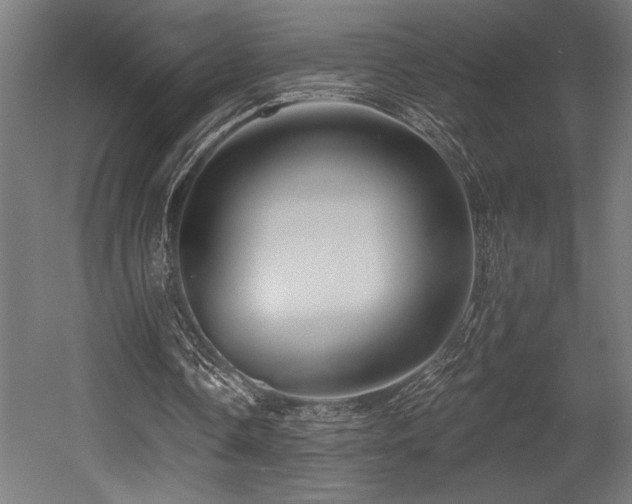 X0000053020338200507081331