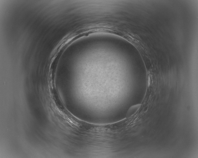 X0000053020339200507081332