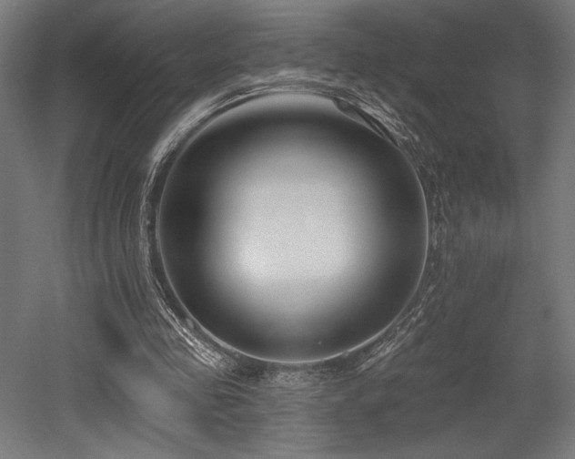 X0000053020341200507081332