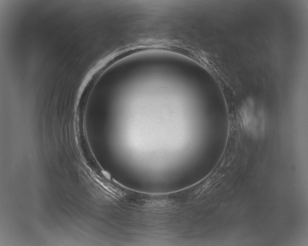 X0000053020342200507081332