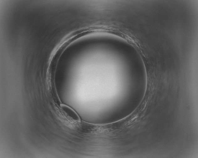 X0000053020343200507081332
