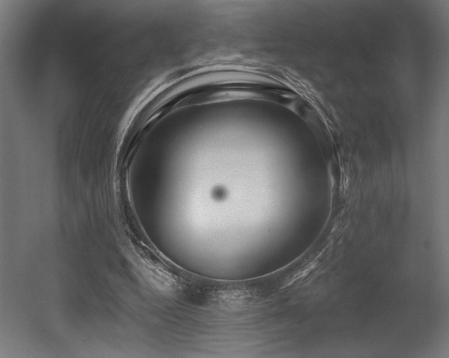 X0000053020344200507081332