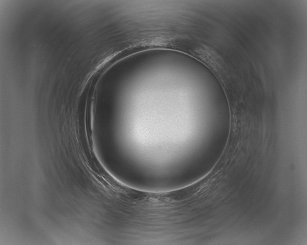 X0000053020346200507081332