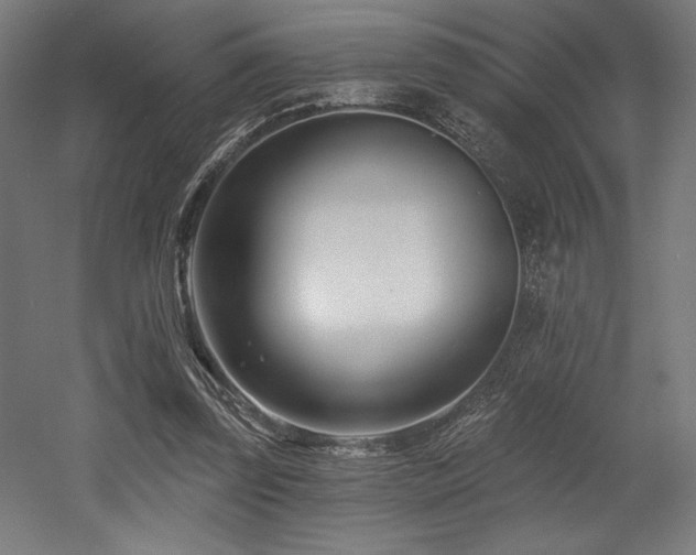 X0000053020347200507081332