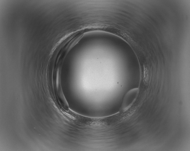X0000053020348200507081332
