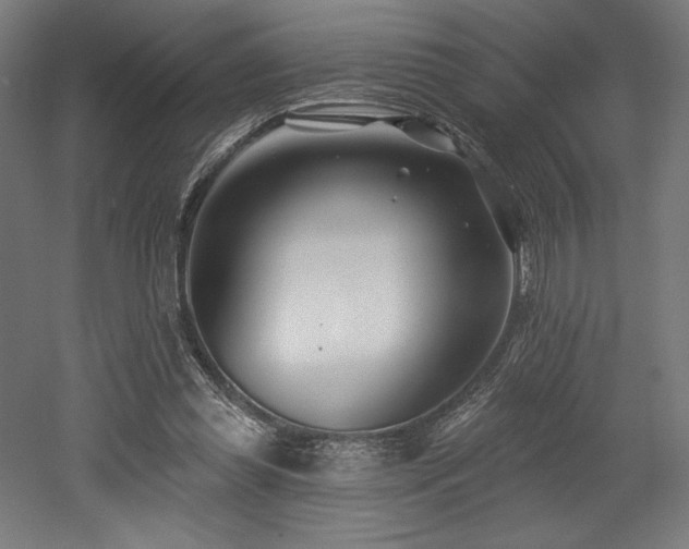 X0000053020349200507081332