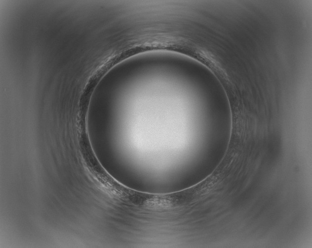 X0000053020354200507081332