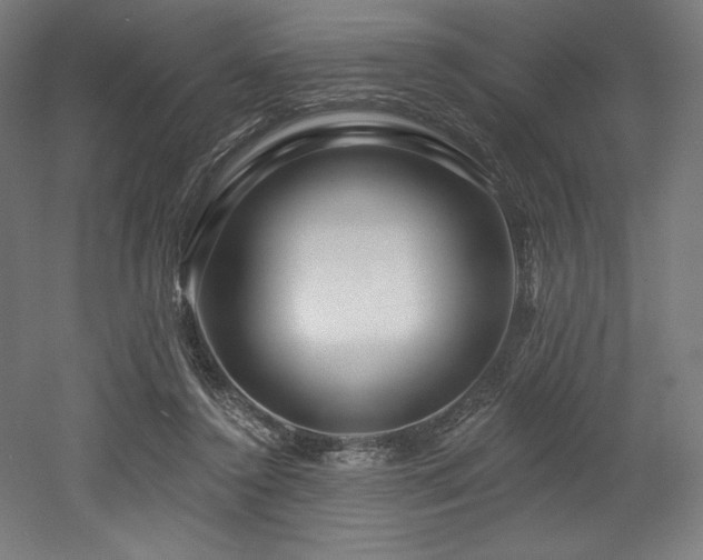 X0000053020356200507081332