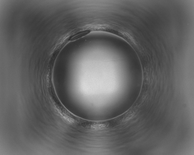 X0000053020357200507081332