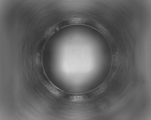 X0000053020361200507081332