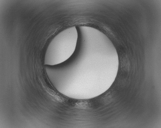 X0000053020362200507081332