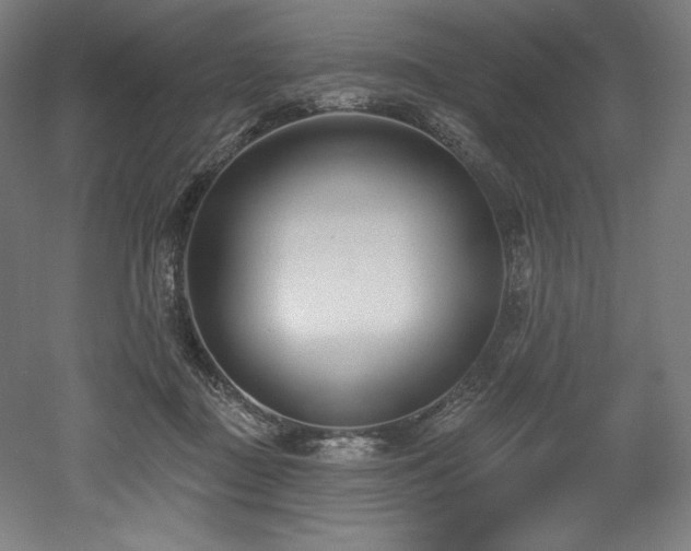 X0000053020363200507081332