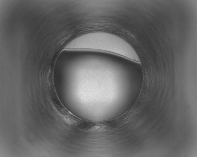X0000053020364200507081332