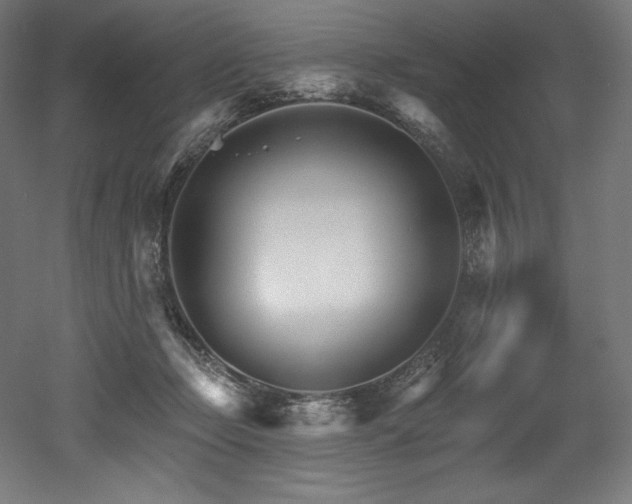 X0000053020365200507081332