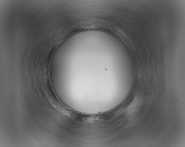 X0000053020366200507081332