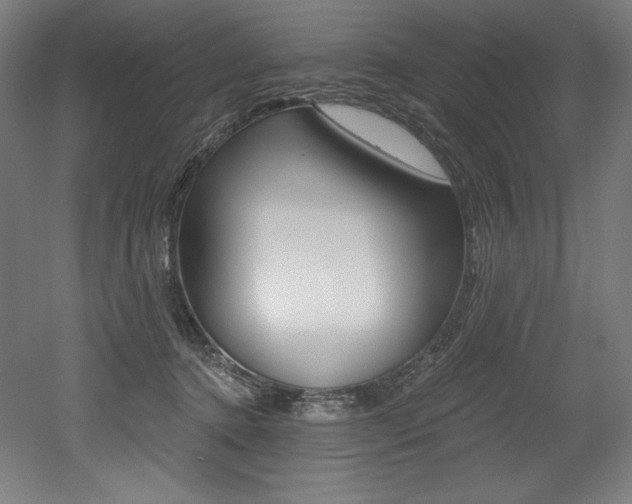 X0000053020368200507081332