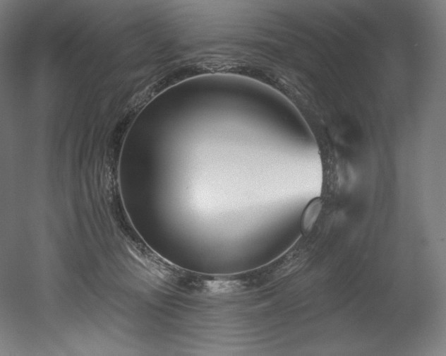 X0000053020371200507081332