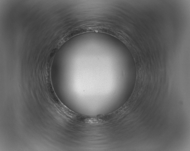 X0000053020372200507081332