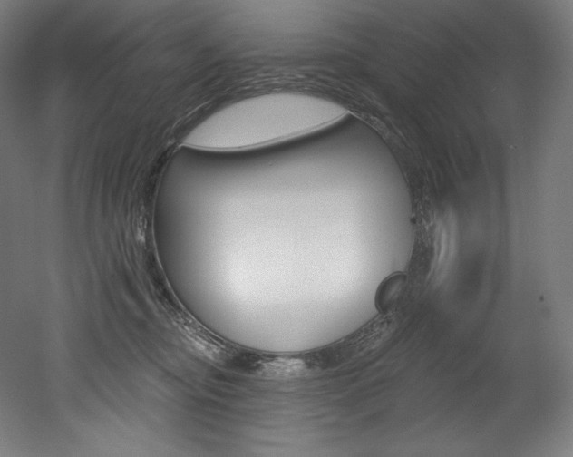 X0000053020374200507081332