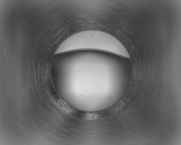 X0000053020376200507081332