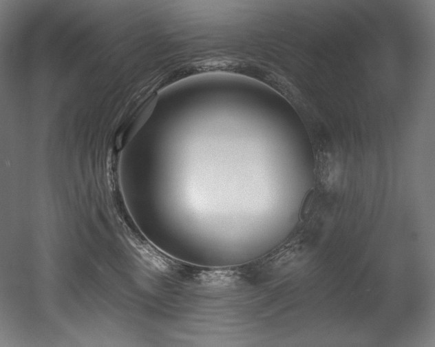 X0000053020378200507081332
