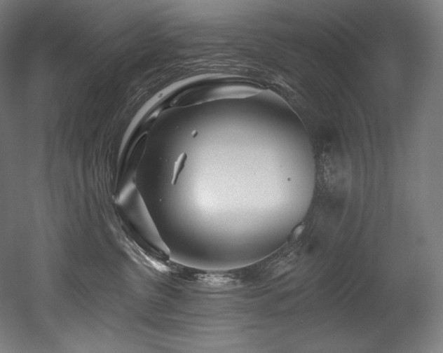 X0000053020380200507081332