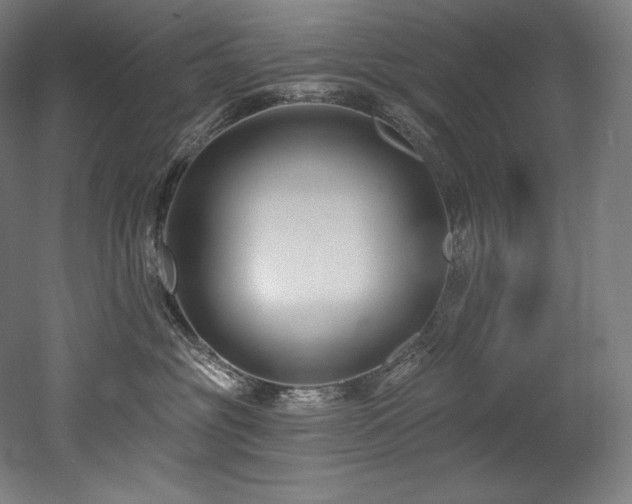 X0000053020381200507081332