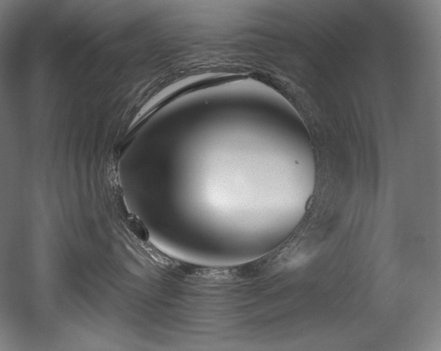 X0000053020384200507081332