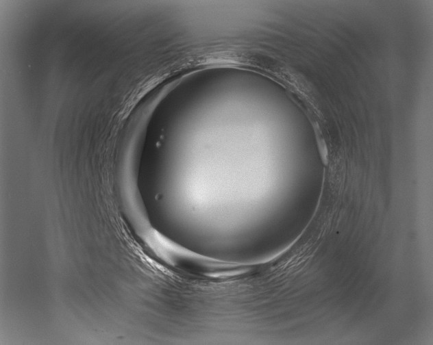X0000053020385200507081331