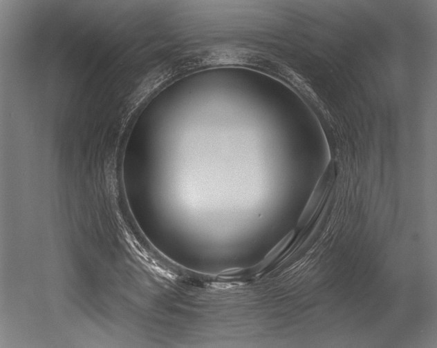X0000053020386200507081331