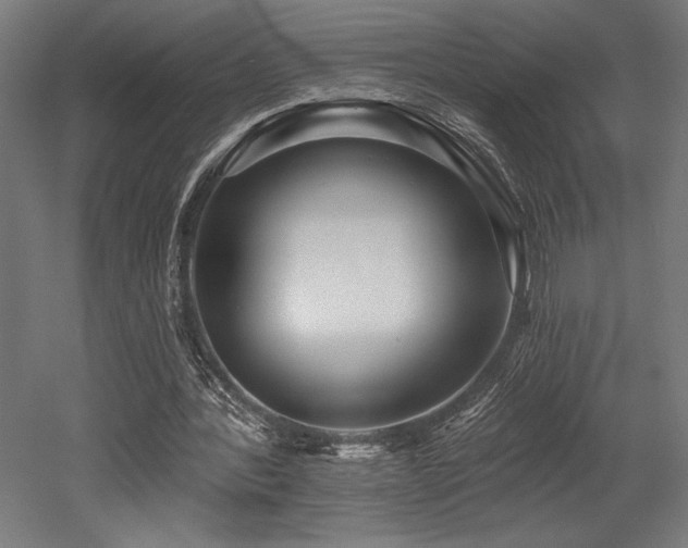 X0000053020388200507081331