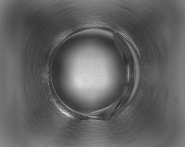 X0000053020389200507081331