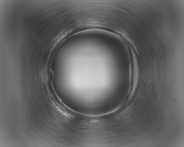 X0000053020390200507081331