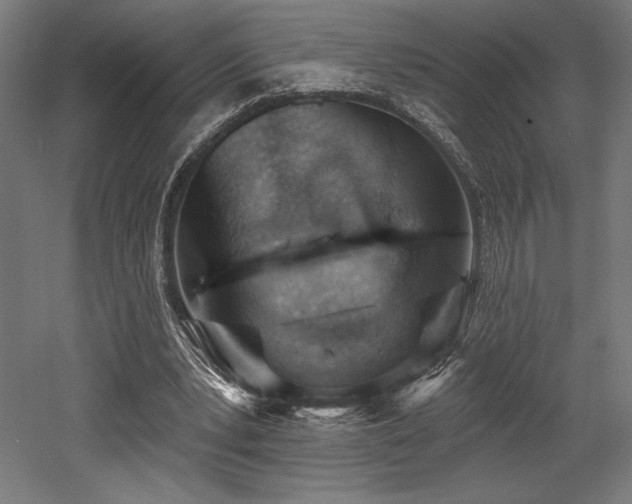 X0000053020391200507081331
