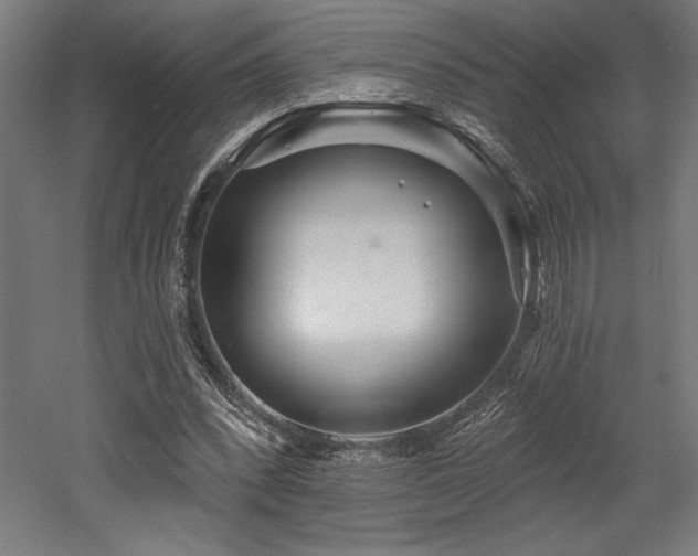 X0000053020392200507081331