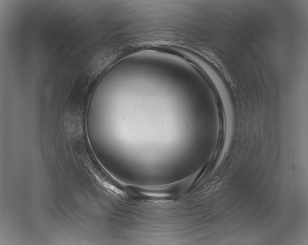 X0000053020393200507081331
