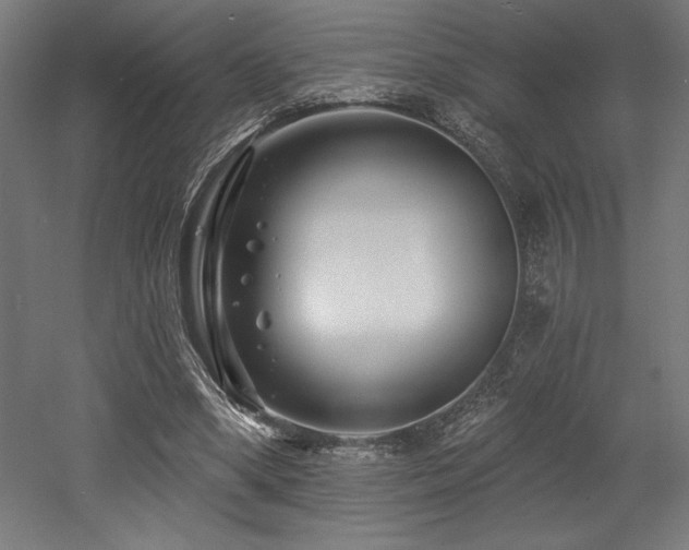 X0000053020394200507081331