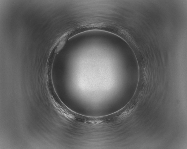 X0000053020395200507081331
