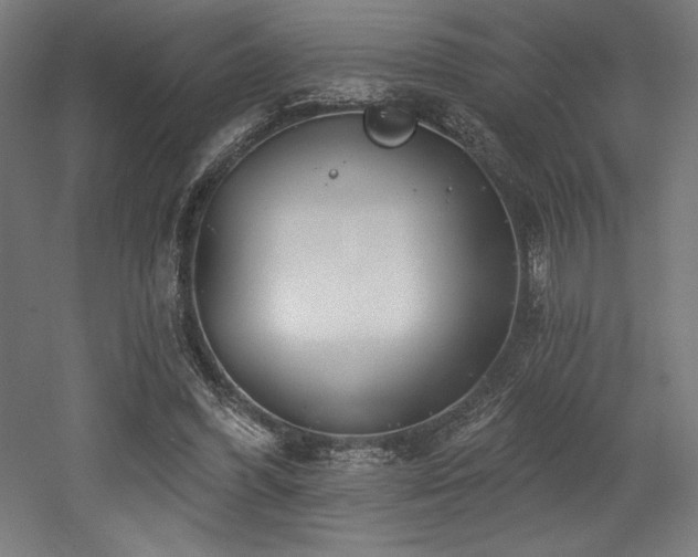 X0000053020396200507081331