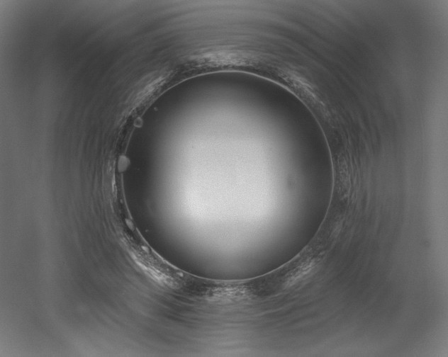 X0000053020398200507081331
