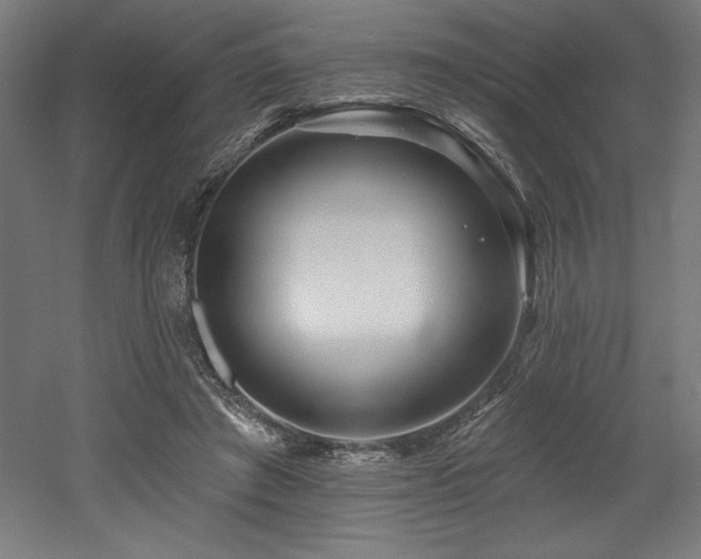 X0000053020401200507081331