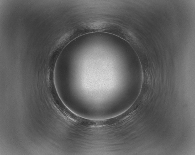 X0000053020404200507081331