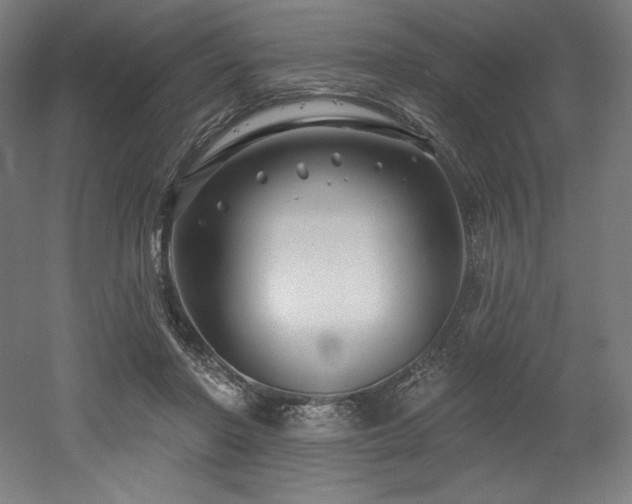 X0000053020406200507081331