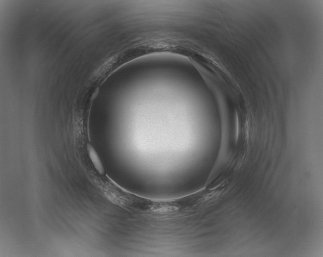 X0000053020407200507081331