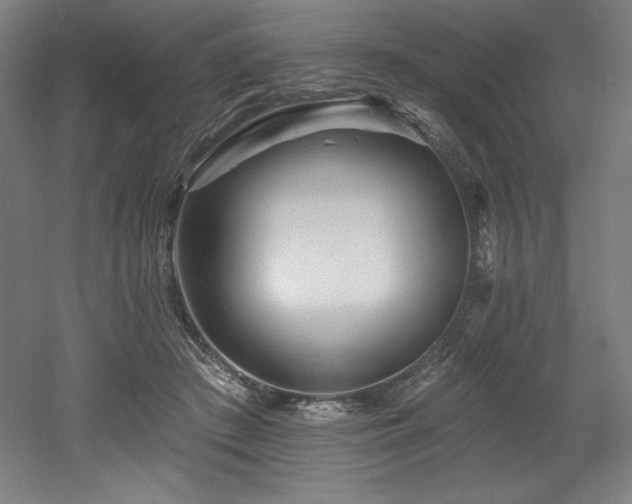 X0000053020409200507081331